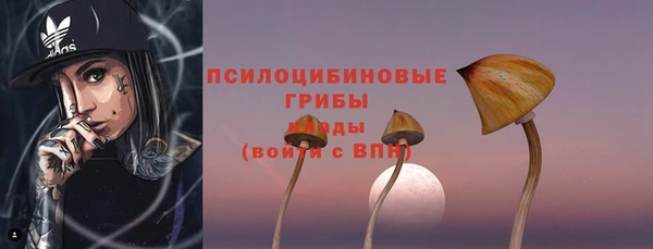 эйфоретик Сатка