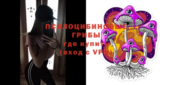 дживик Белокуриха