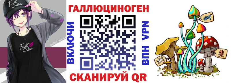 Псилоцибиновые грибы Psilocybe Кизилюрт